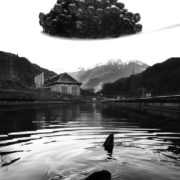 luxury caviar - caviar lujo