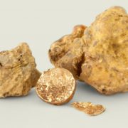 TRUFA BLANCA DE ALBA