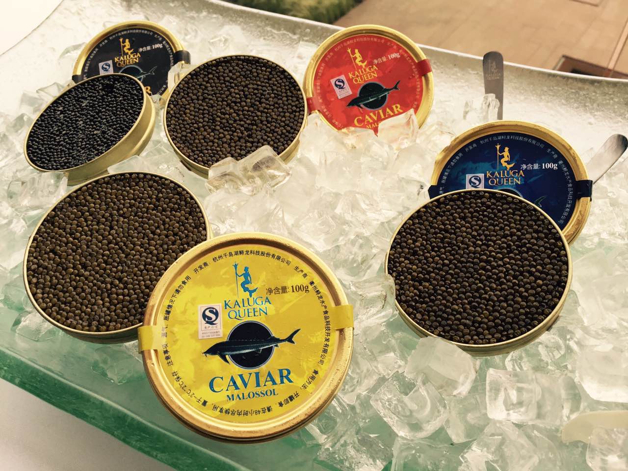 KALUGA, EL CAVIAR CHINO POR EXCELENCIA  Kaluga chino, el boom del caviar