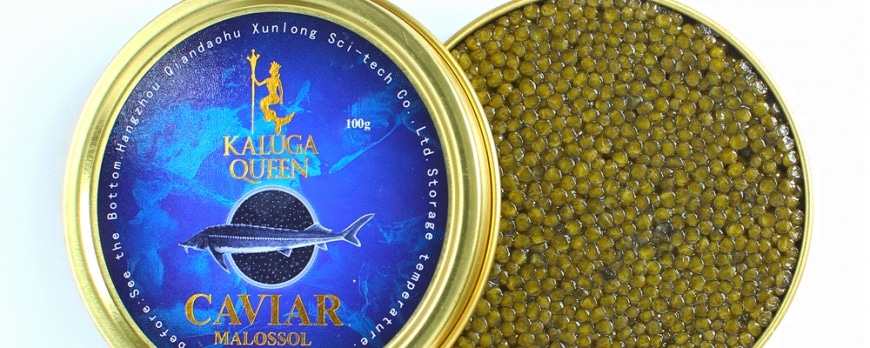KALUGA, EL CAVIAR CHINO POR EXCELENCIA  Kaluga chino, el boom del caviar