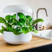 Huertos Domésticos de Interior Smart Grow BOSCH